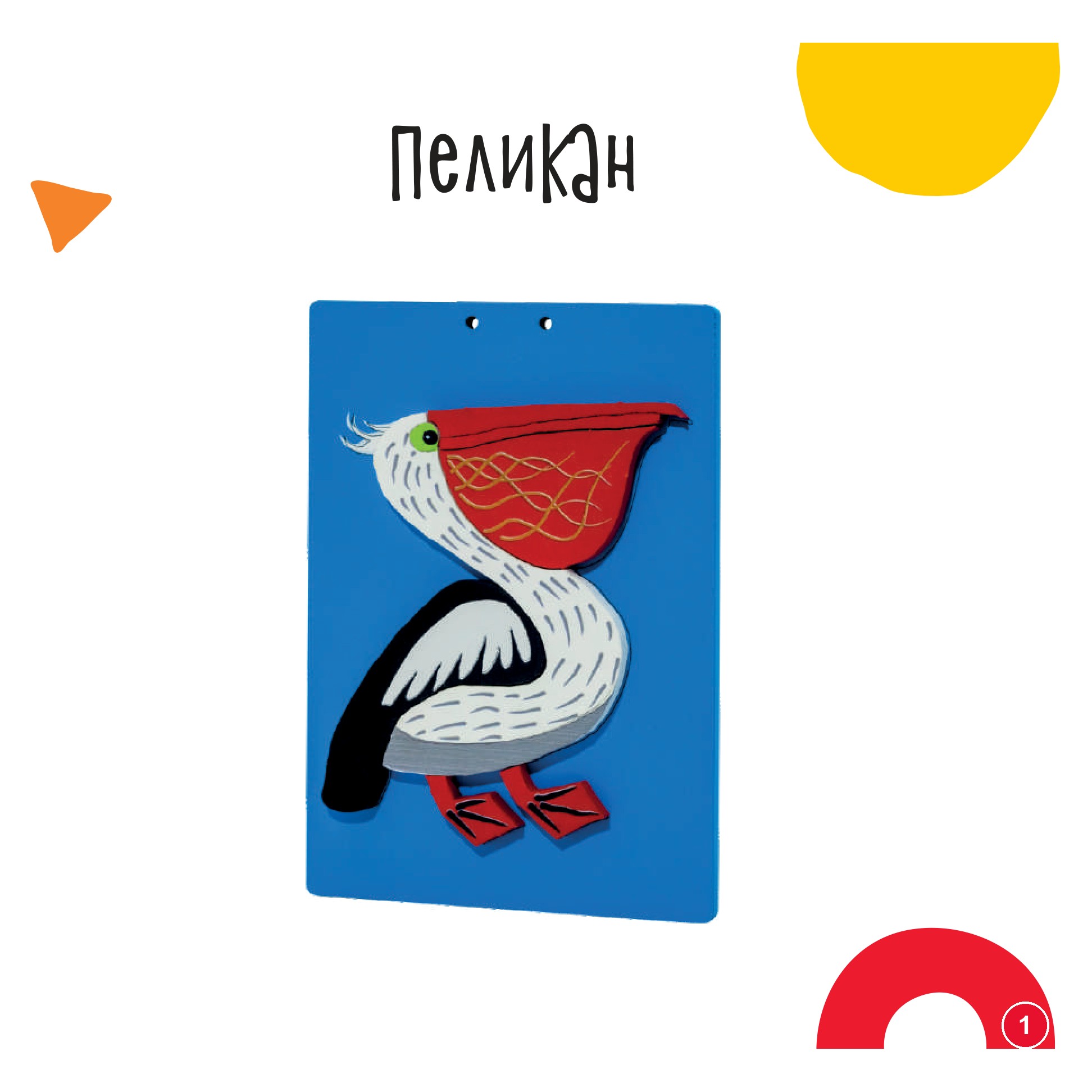 Пеликан